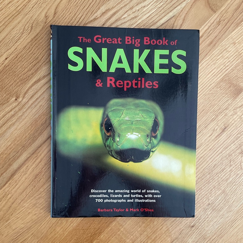 Kids Book